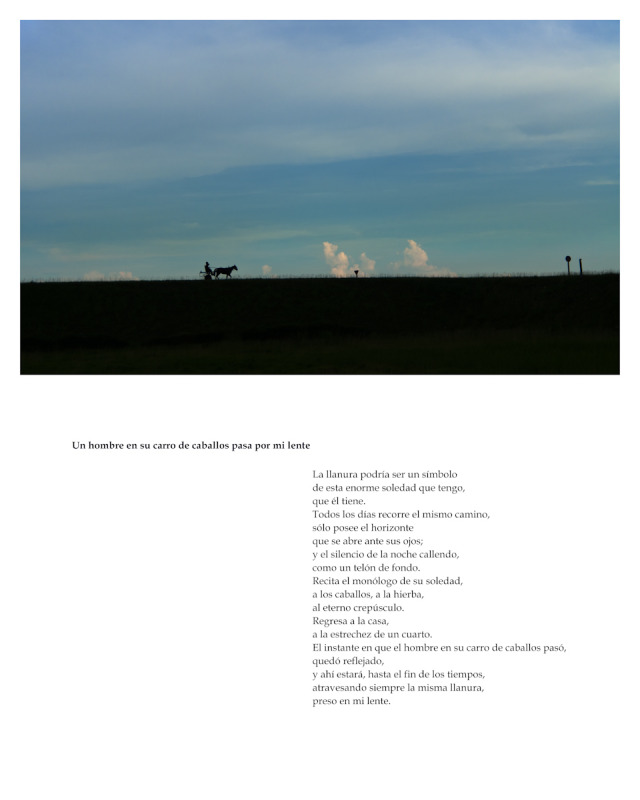 Un hombre en su carro de caballos pasa por mi lente