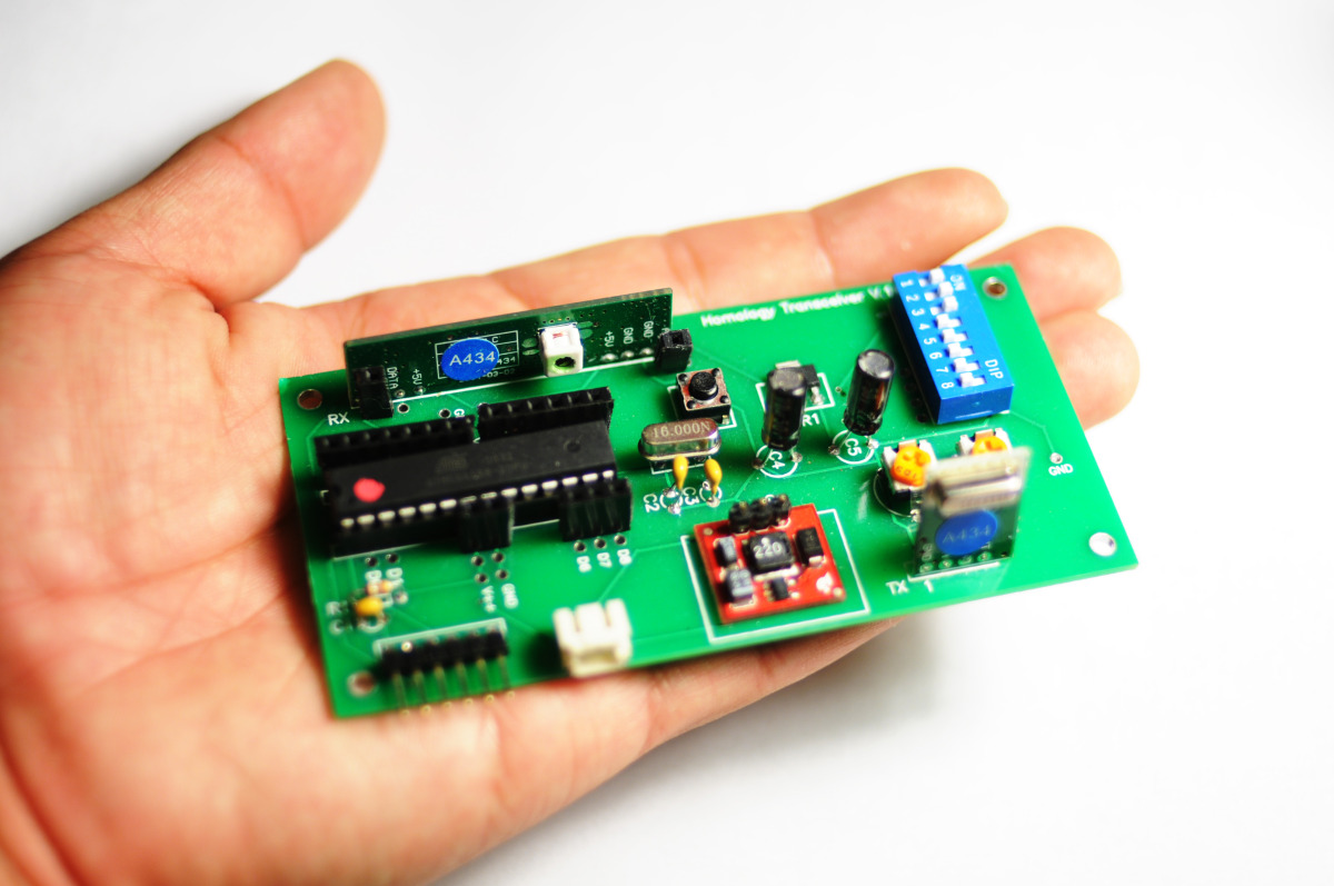 Homology Immersive Environment