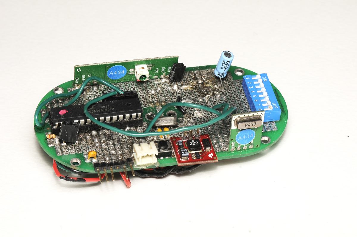 Homology Immersive Environment