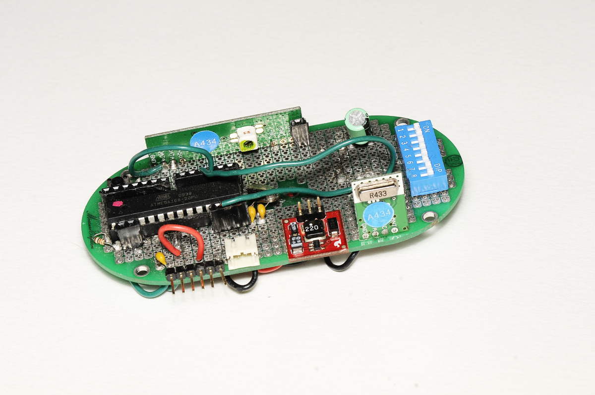 Homology Immersive Environment