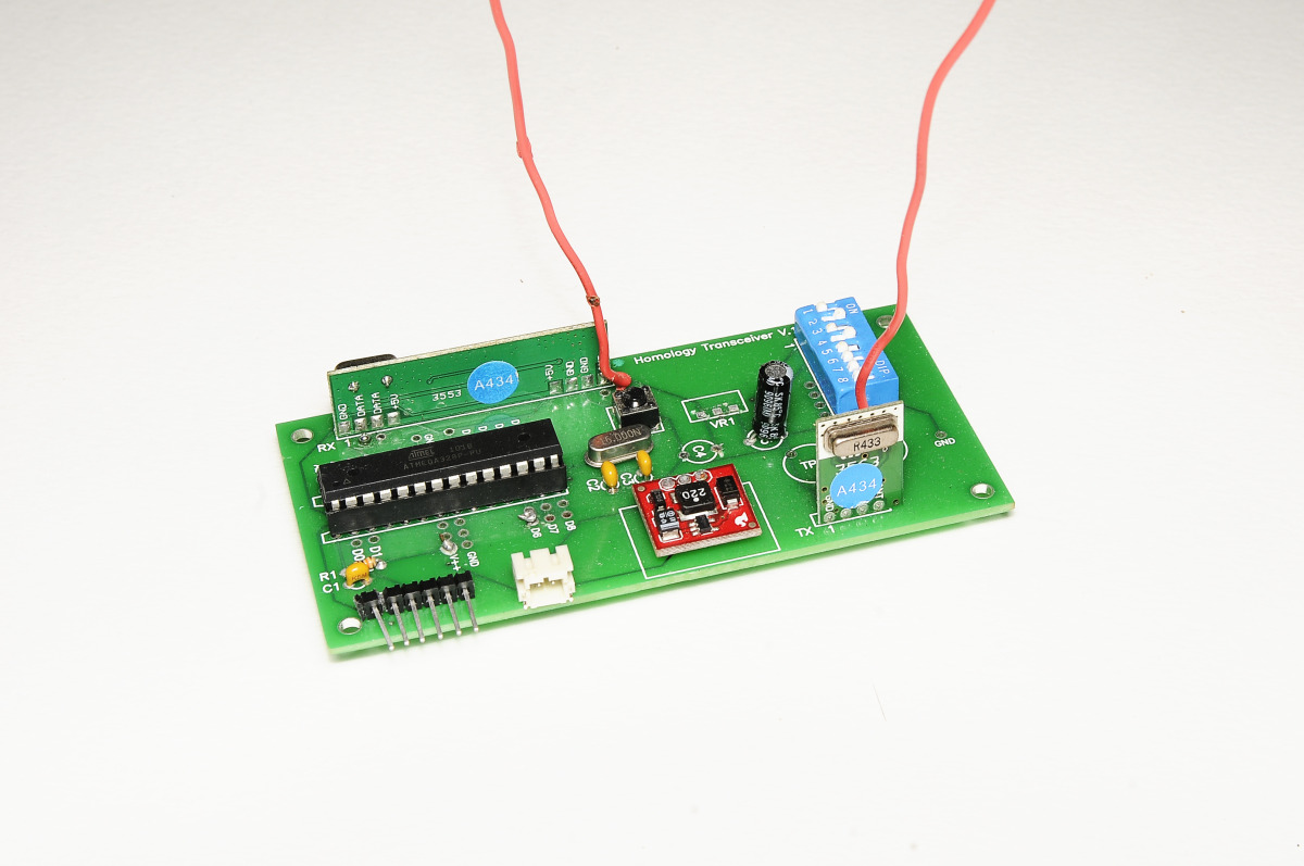 Homology Immersive Environment