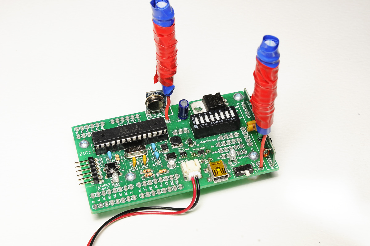 Homology Immersive Environment