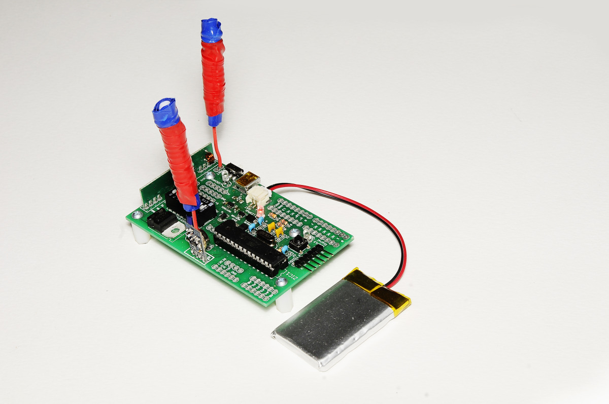 Homology Immersive Environment