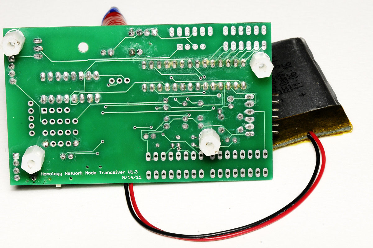 Homology Immersive Environment