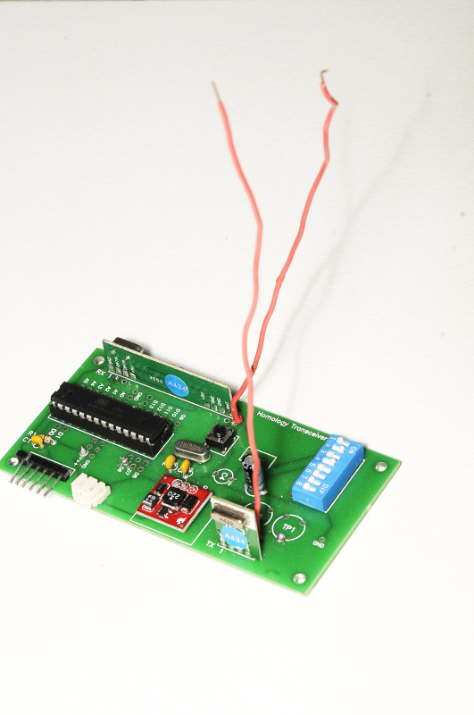 Homology Immersive Environment