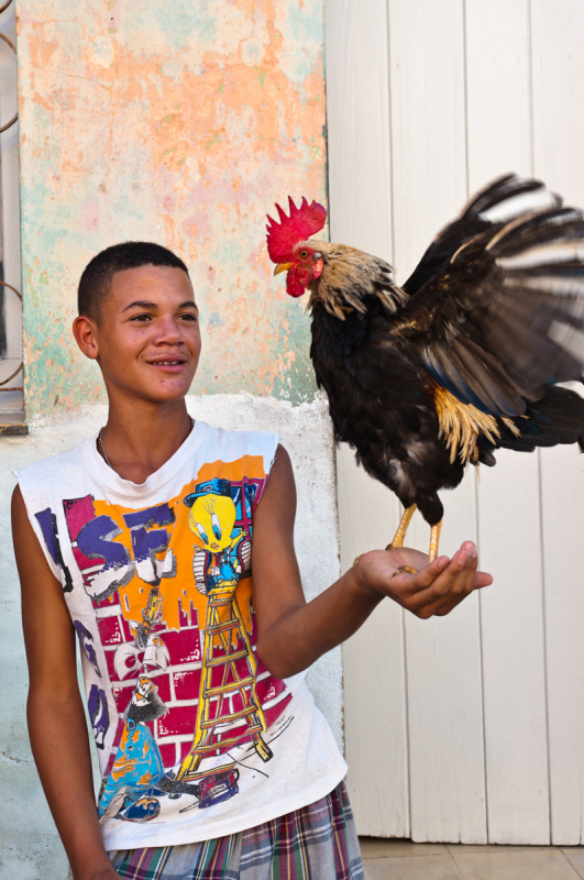 Solidarity Rock Group Show