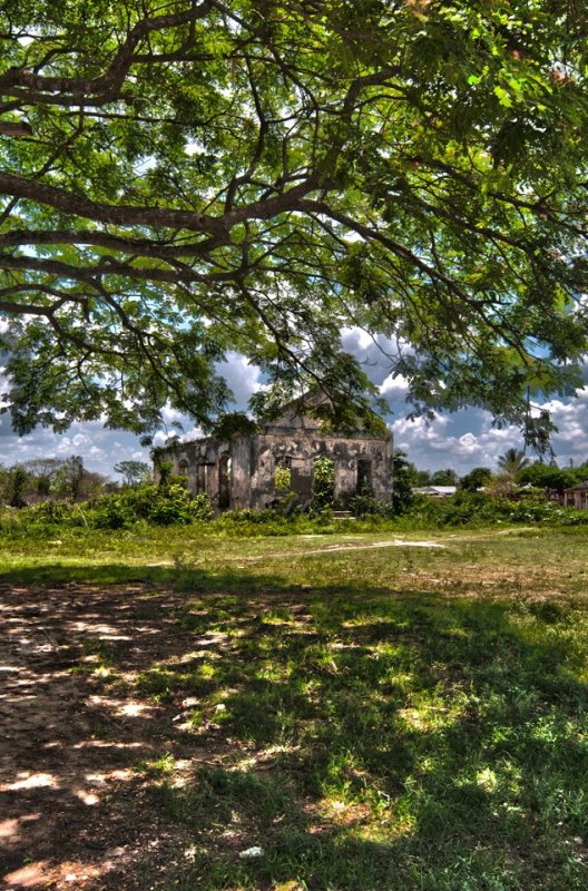 Solidarity Rock Group Show