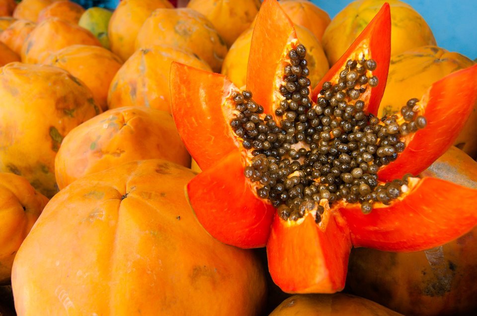 Solidarity Rock Group Show